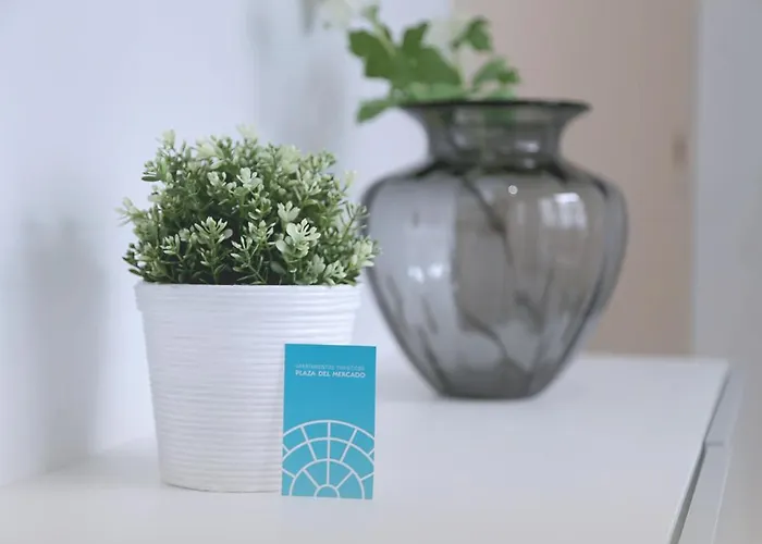 Atico Plaza Mercado 4,5 Апартаменты Саламанка